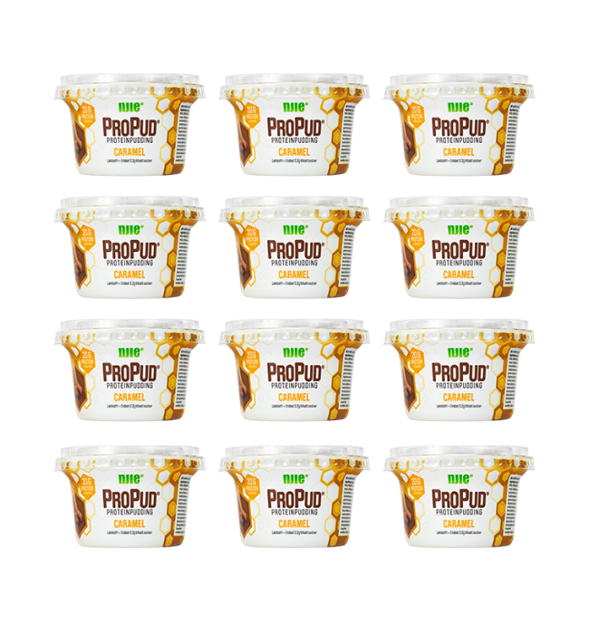 ProPud Karamell 12x200g - protein for