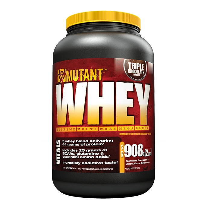 whey protein gymgrossisten whey protein gymgrossisten