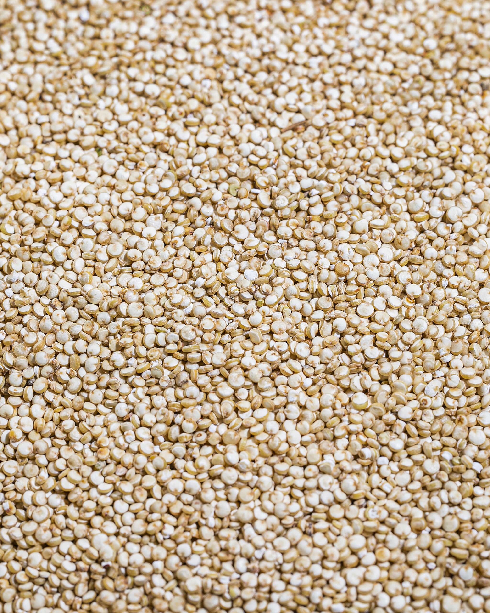 SunnRask Hvit Quinoa 1000g2