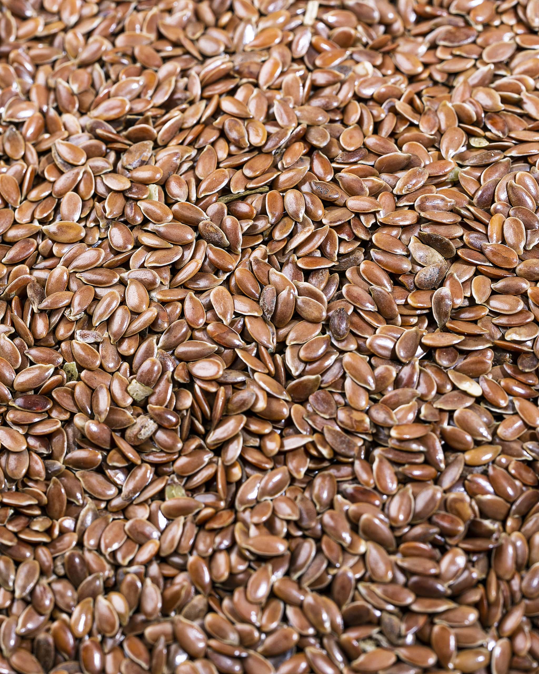 SunnRask Linfrø 1000g1