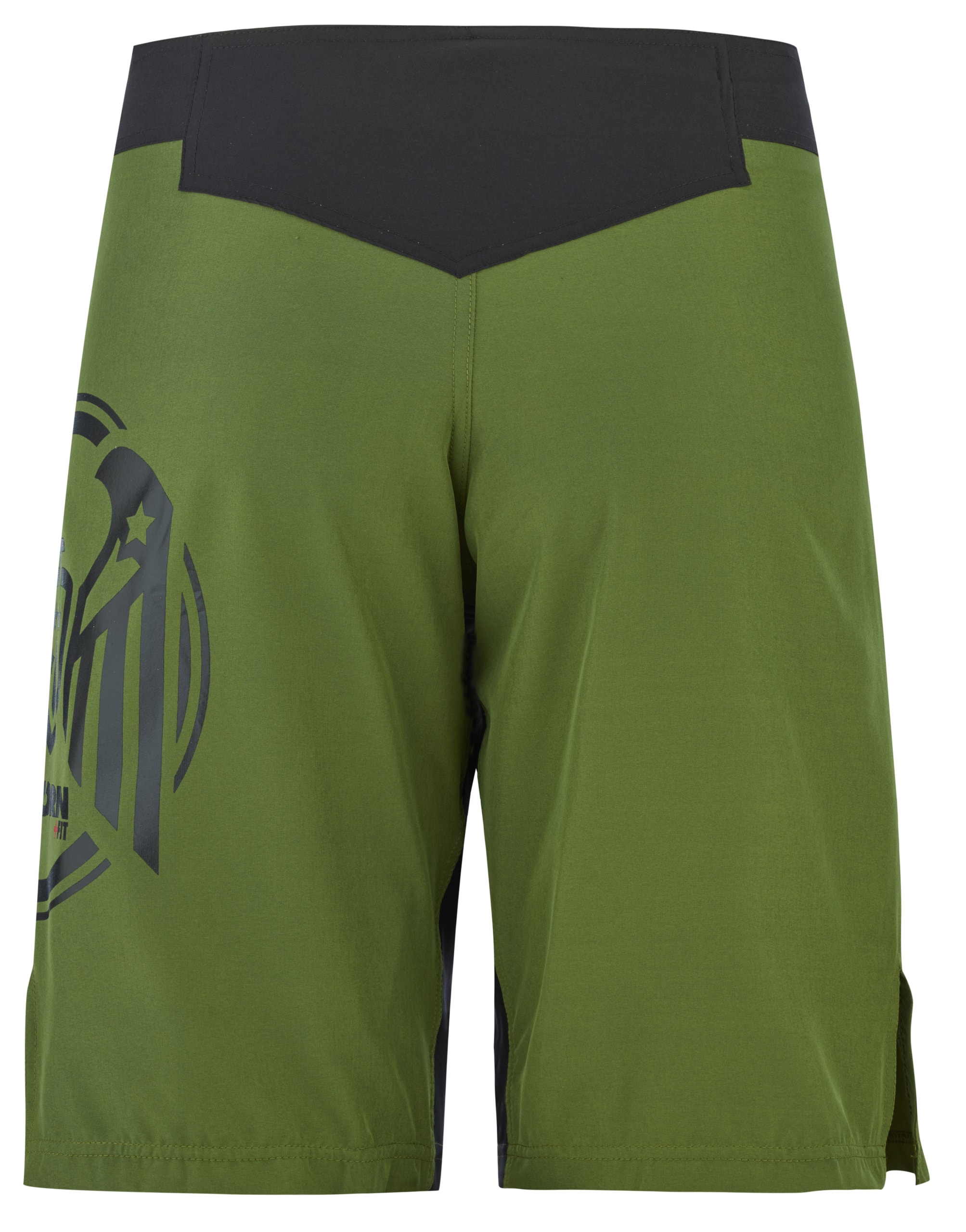 Combat 2.0 training shorts Wings green3