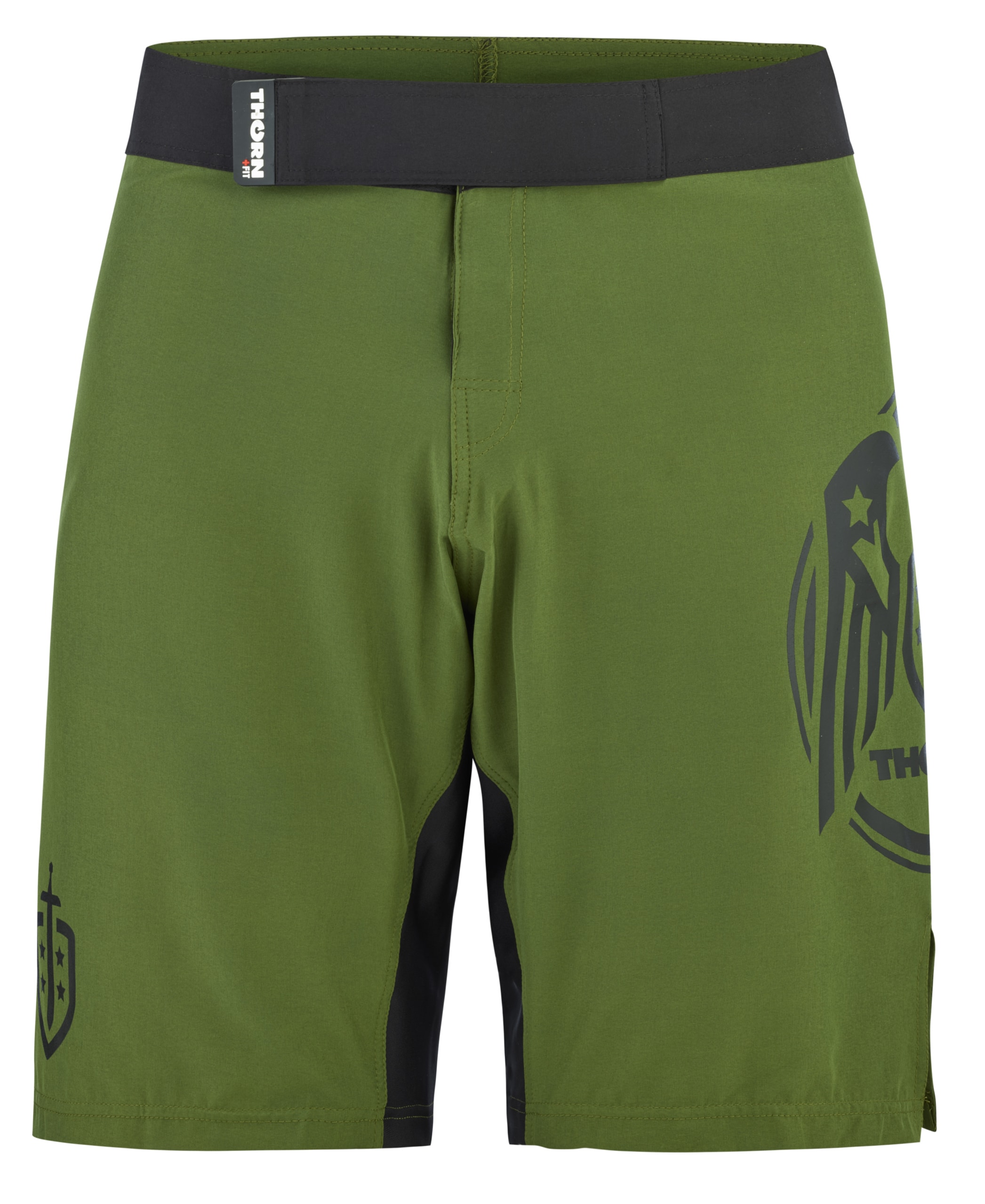 Combat 2.0 training shorts Wings green_1