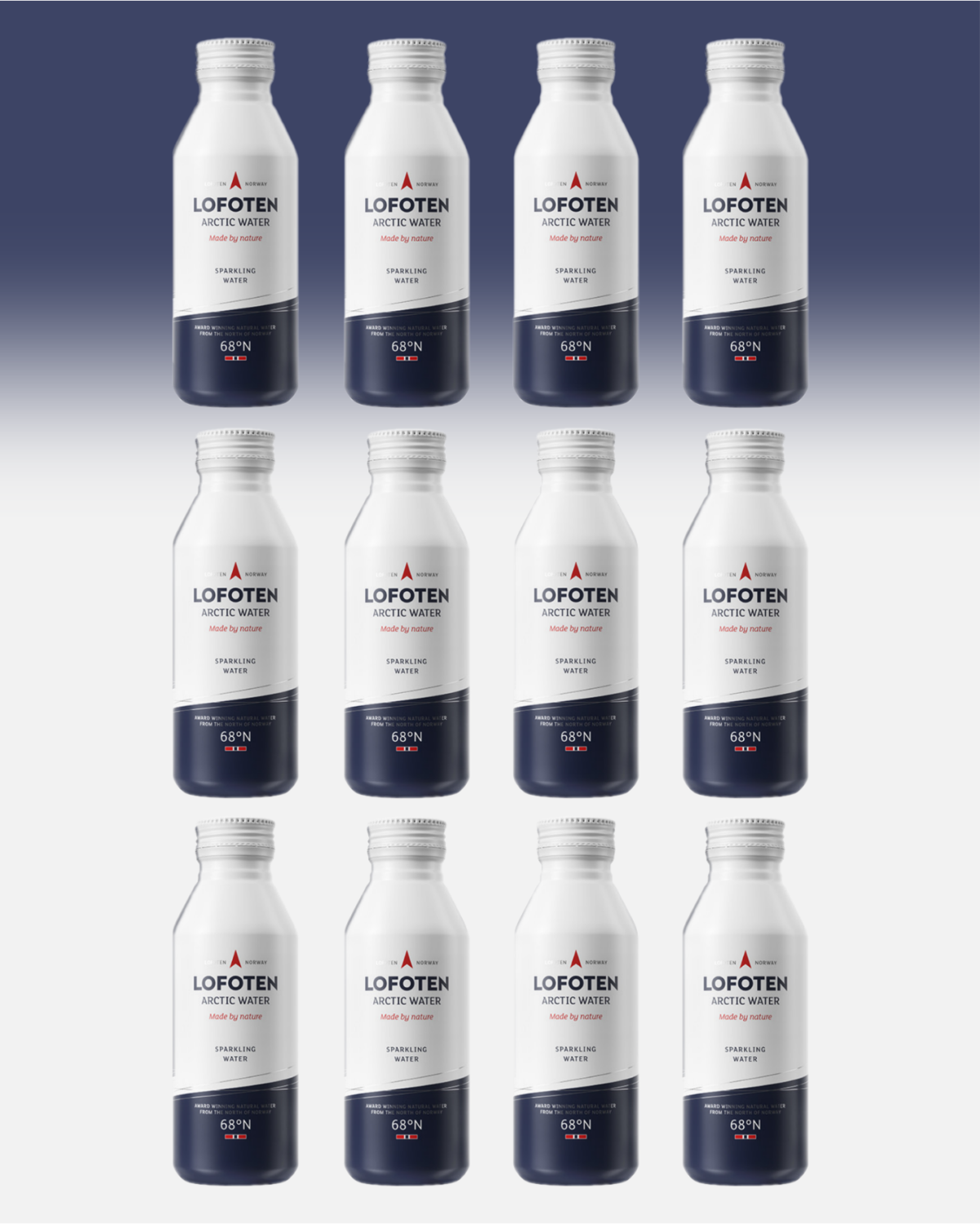 Lofoten Arctic Water Sparkling Water 12x473ml - DATODEAL! - til